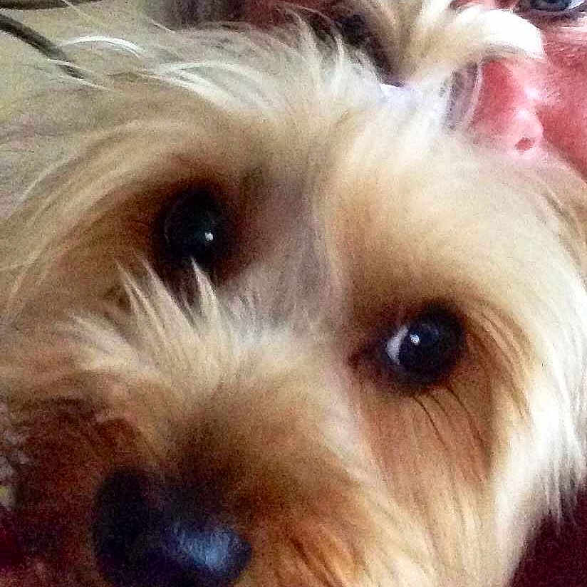 Maisie joined the competition — help win amazing prizes!