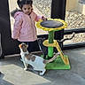 child, toddler, pink_jacket, cat, cats, cat_tree, sunflower, indoor, concrete_floor, glass_door, sunlight, shadow, curious, pet, animal, pigtails, playful, window, young_child, casual_clothing