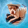 dog, hat, feather, blue_background, circular_frame, animal, stylized, digital_art, portrait, pet, fur, lying_down, looking_at_camera, brown_dog, whimsical, artistic, close_up, soft_texture, black_cloth, cute