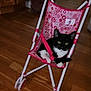 Boo is registered to the contest to win money with this photo: cat, black_and_white_cat, toy_stroller, pink, indoor, wooden_floor, pet, animal, feline, small_stroller, patterned_fabric, wheels, relaxed, domestic, household, cute, pet_accessory, resting, cozy, plaything
