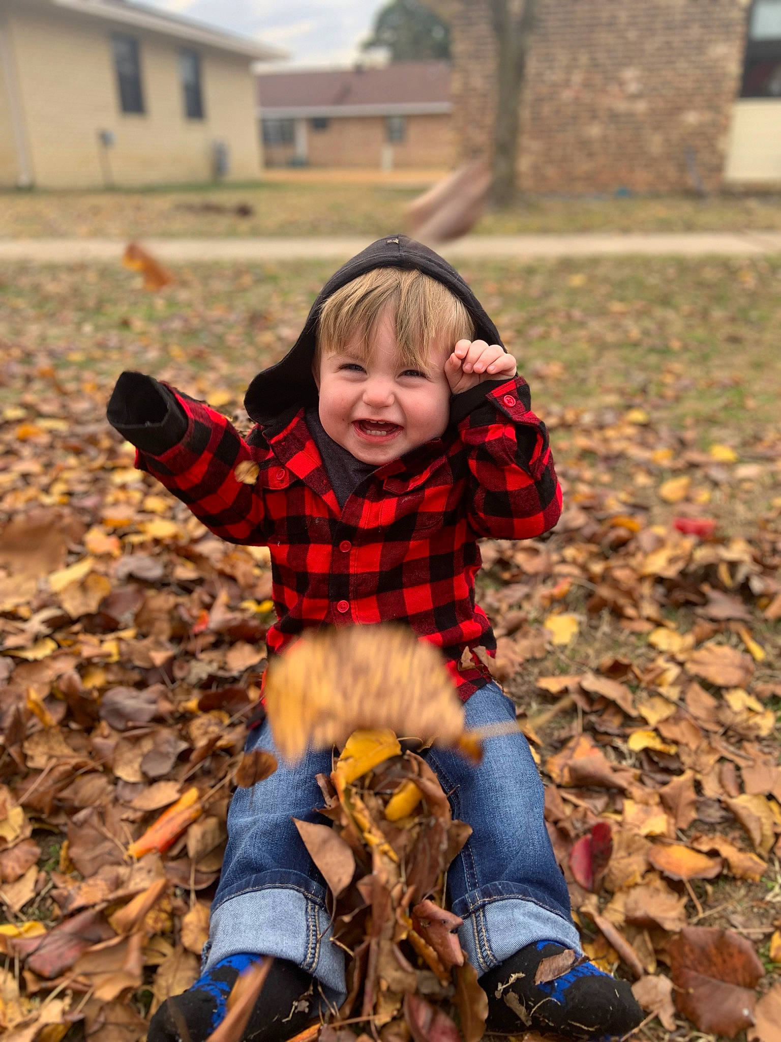 Cecil is registered to the contest to win money with this photo: child, face, fun, grass, happy, head, jeans, leaf, leg, orange, outerwear, pattern, people_in_nature, person, plaid, plant, smile, tartan, toddler, tree