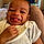 Harrison