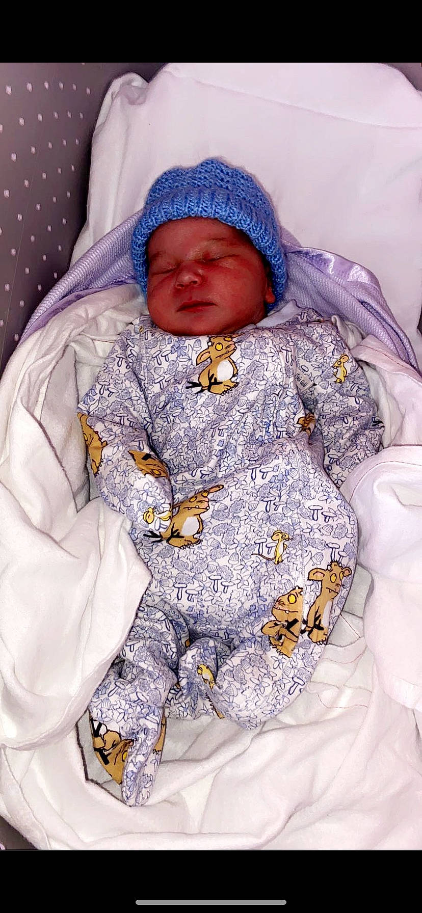 Devlin is registered to the contest to win money with this photo: baby, baby_sleeping, baby_toddler_clothing, beanie, child, collar, comfort, eye, headwear, hood, hoodie, jacket, knit_cap, linens, outerwear, person, purple, sleeve, textile, toddler