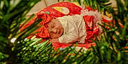 Finley joined the competition — help win amazing prizes! baby, sleeping, christmas, holiday, red_bow, festive, blanket, greenery, tree_branches, cozy, infant, cute, indoors, soft_lighting, holiday_decor, portrait, toddler, red_clothing, peaceful, child
