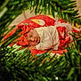 baby, sleeping, christmas, holiday, red_bow, festive, blanket, greenery, tree_branches, cozy, infant, cute, indoors, soft_lighting, holiday_decor, portrait, toddler, red_clothing, peaceful, child