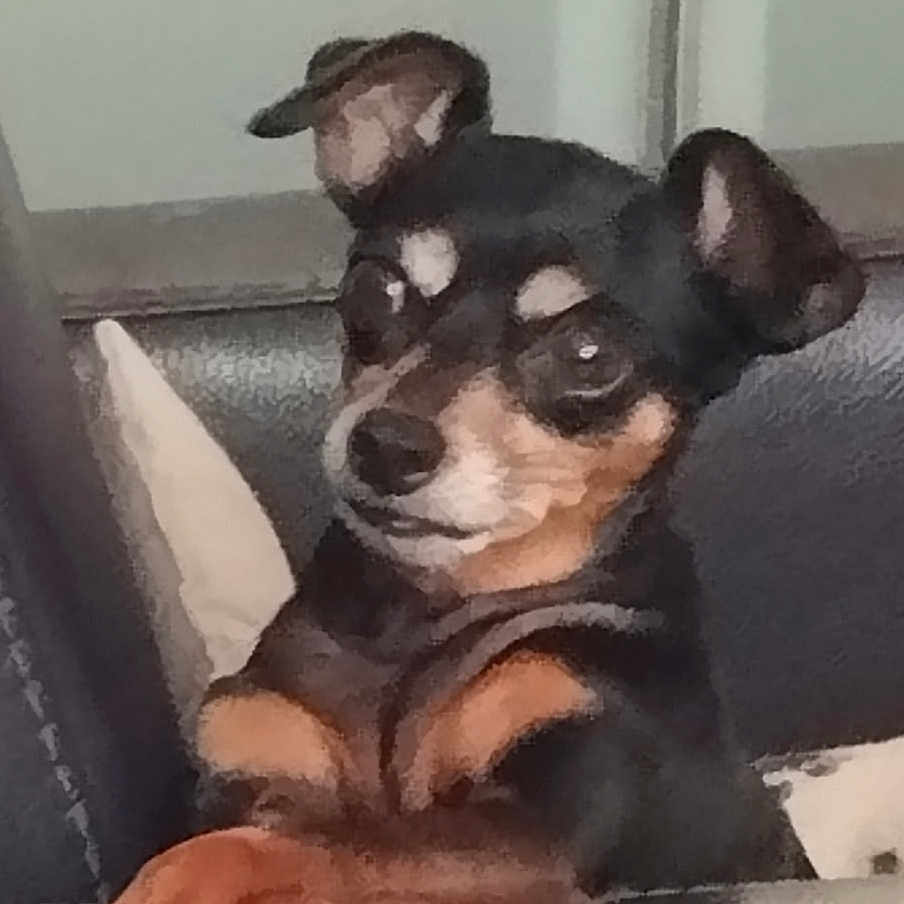 Maïa