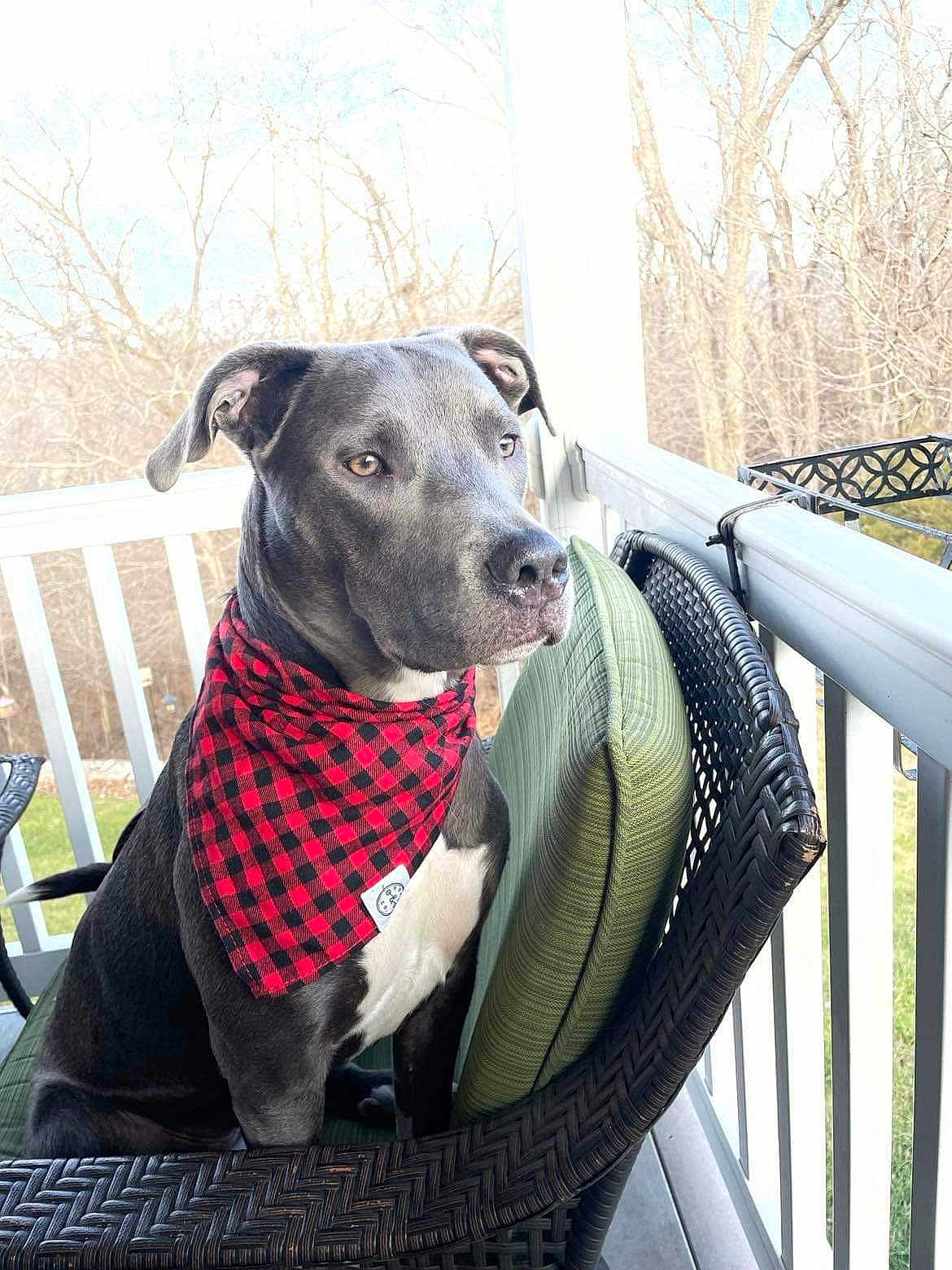 Rosie