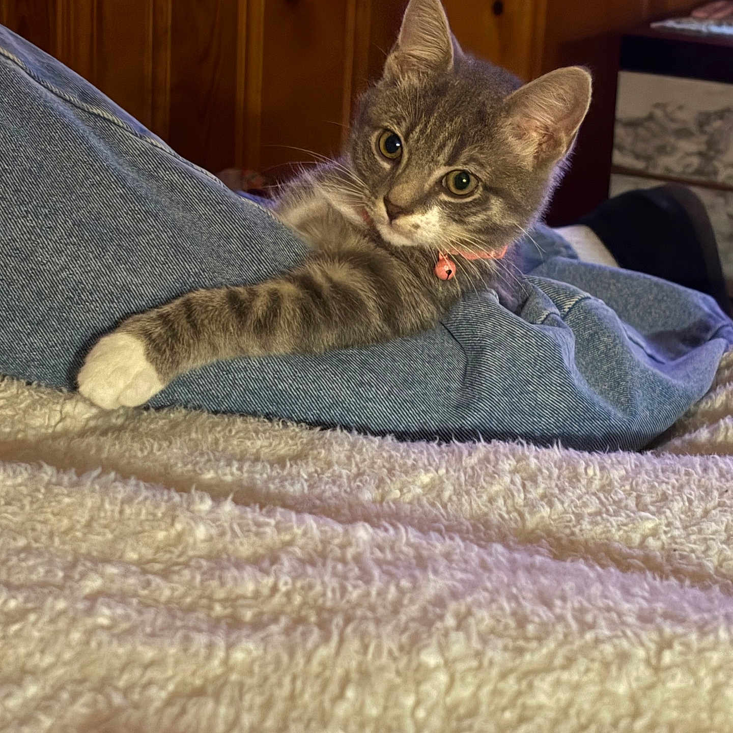 Maggie