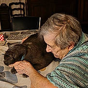 Marianne Kaldas participe au concours pour gagner de l'argent avec cette photo : elderly_person, cat, indoor, table, tablecloth, pattern, cuddling, gray_cat, knitted_shawl, furniture, chair, newspaper, reading_glasses, warm_lighting, close_up, affection, pet, domestic, comfort, senior