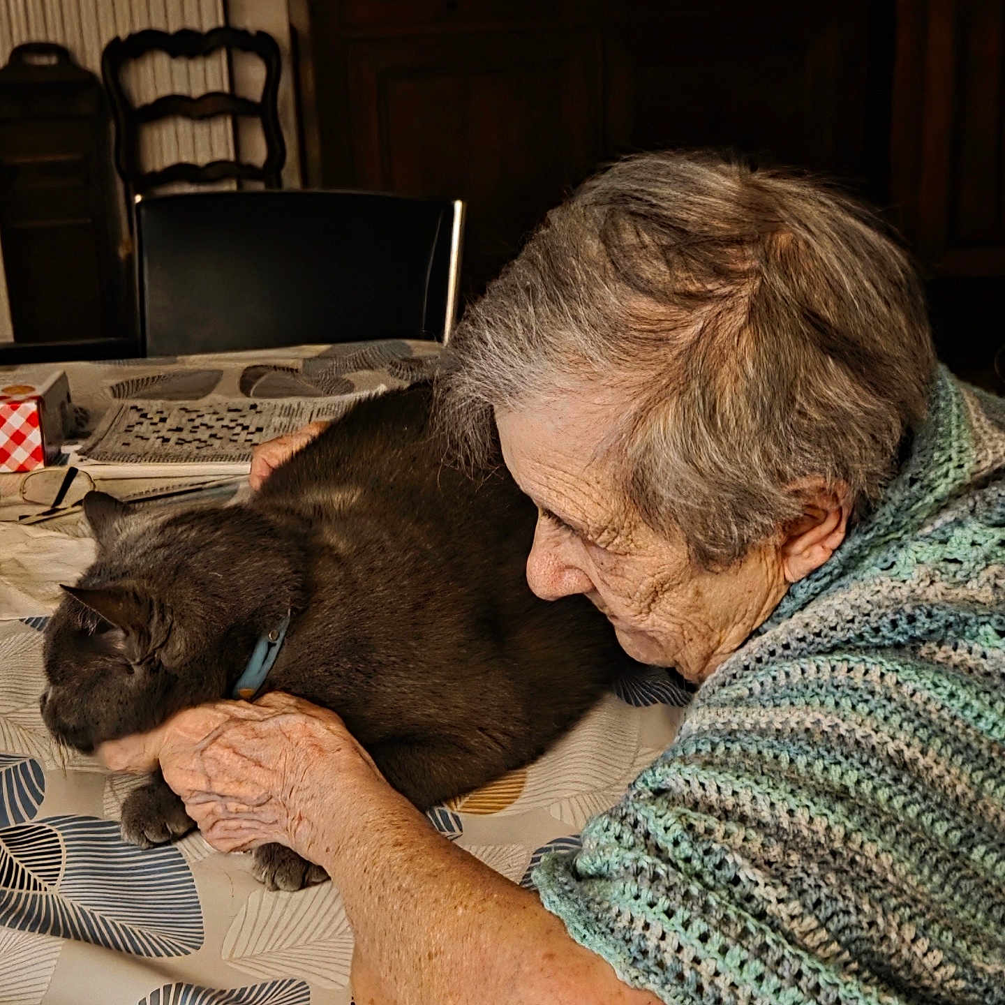 Marianne Kaldas participe au concours pour gagner de l'argent avec cette photo : affection, cat, chair, close_up, comfort, cuddling, domestic, elderly_person, furniture, gray_cat, indoor, knitted_shawl, newspaper, pattern, pet, reading_glasses, senior, table, tablecloth, warm_lighting