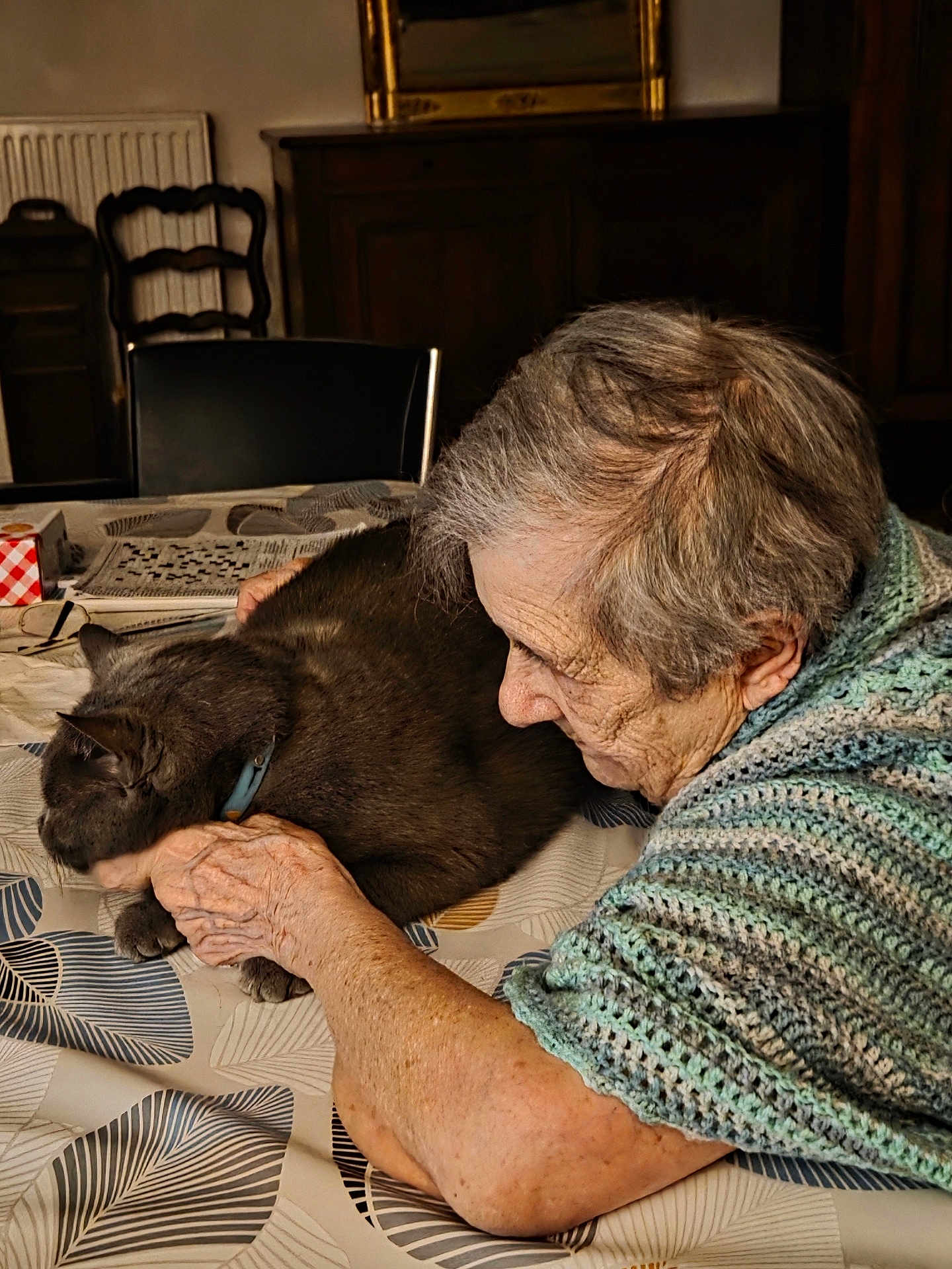 Marianne Kaldas participe au concours pour gagner de l'argent avec cette photo : elderly_person, cat, indoor, table, tablecloth, pattern, cuddling, gray_cat, knitted_shawl, furniture, chair, newspaper, reading_glasses, warm_lighting, close_up, affection, pet, domestic, comfort, senior