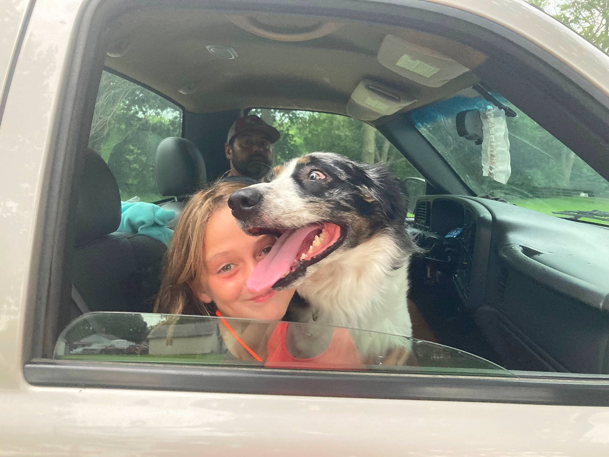 Chief is registered to the contest to win money with this photo: automotive_design, automotive_exterior, automotive_mirror, car, car_seat_cover, carnivore, companion_dog, dog, dog_breed, door, mammal, mode_of_transport, motor_vehicle, personal_luxury_car, plant, tints_and_shades, vehicle, vehicle_door, vertebrate, window