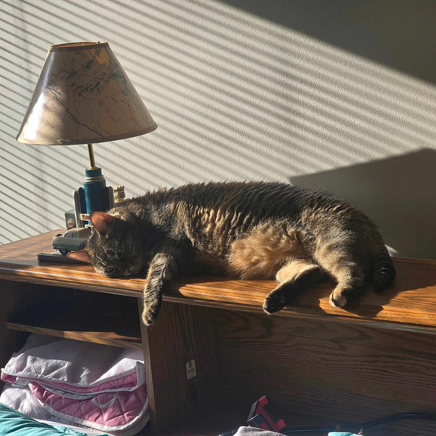 Miss Meow is registered to the contest to win money with this photo: cat, cozy, curtains, domestic, furniture, home, indoor, lamp, lounging, peaceful, pet, quiet, relaxed, resting, shadows, striped_shadows, sunlight, tabby, warm_light, wooden_shelf
