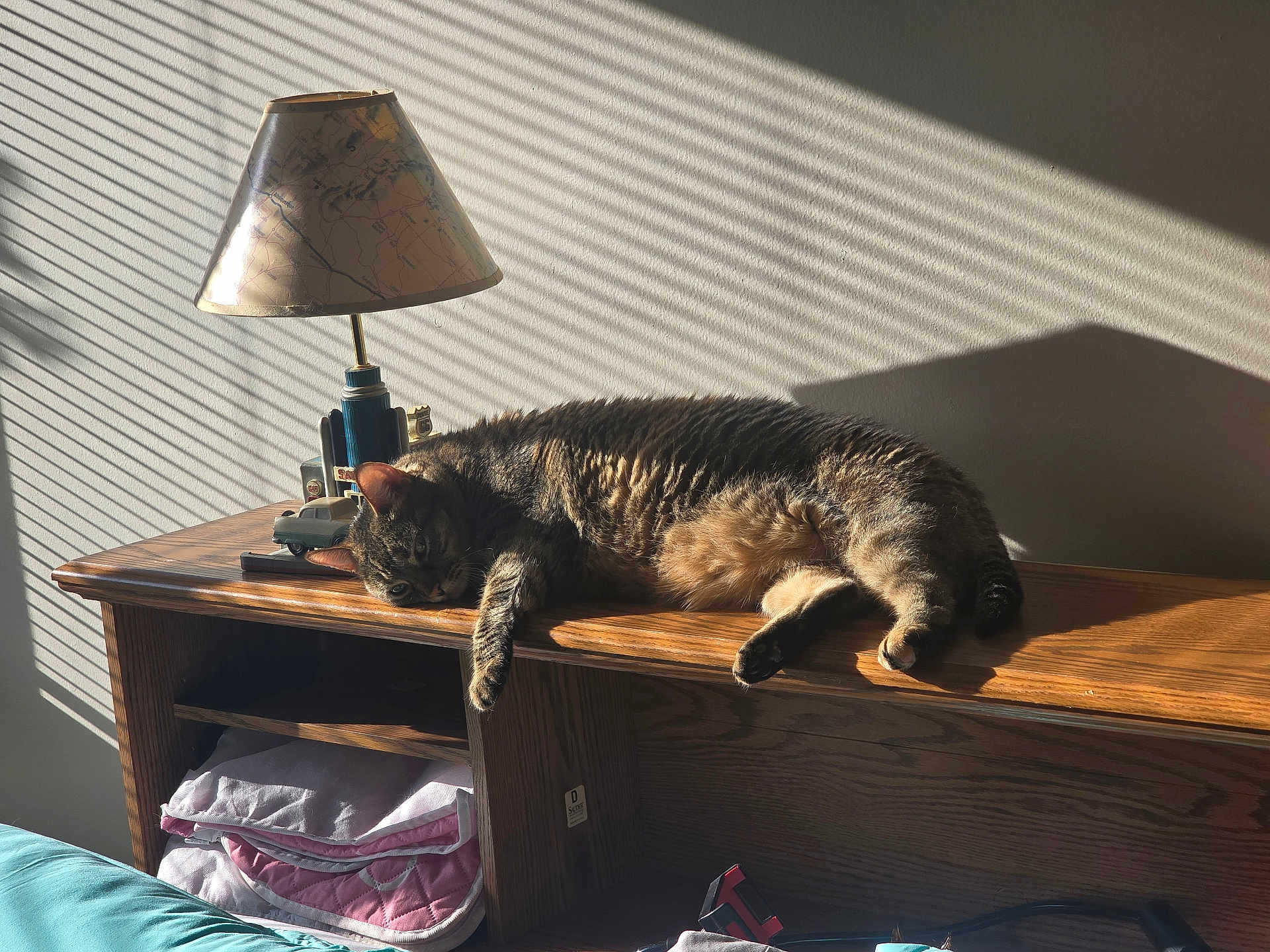 Miss Meow is registered to the contest to win money with this photo: cat, cozy, curtains, domestic, furniture, home, indoor, lamp, lounging, peaceful, pet, quiet, relaxed, resting, shadows, striped_shadows, sunlight, tabby, warm_light, wooden_shelf