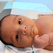 Brandon joined the competition — help win amazing prizes! baby, blue_pattern, close_up, curious, cute, face, fist, hand, head, human, indoors, infant, lying_down, newborn, portrait, skin, small, soft_light, towel, young_child