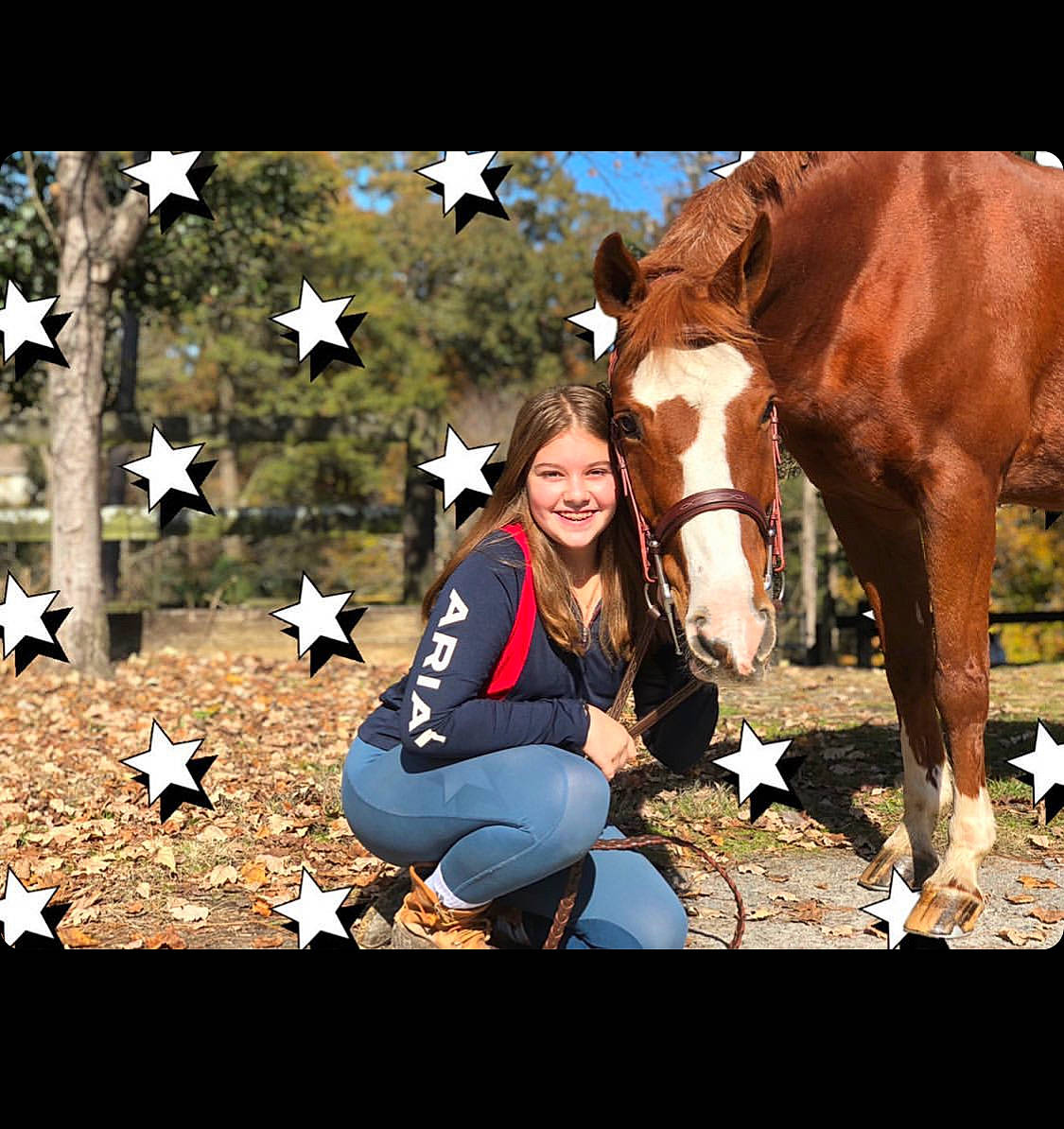 Hero joined the competition — help win amazing prizes! bovine, bridle, cool, horse, horse_supplies, horse_tack, livestock, mane, mare, mustang_horse, organism, pack_animal, photography, plant, recreation, rein, riding_instructor, sorrel, stallion, working_animal