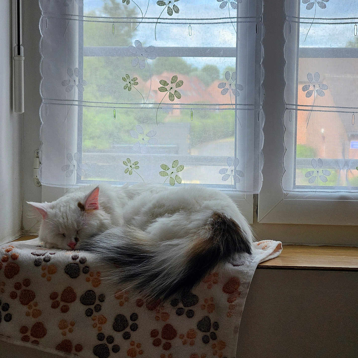 Merlin