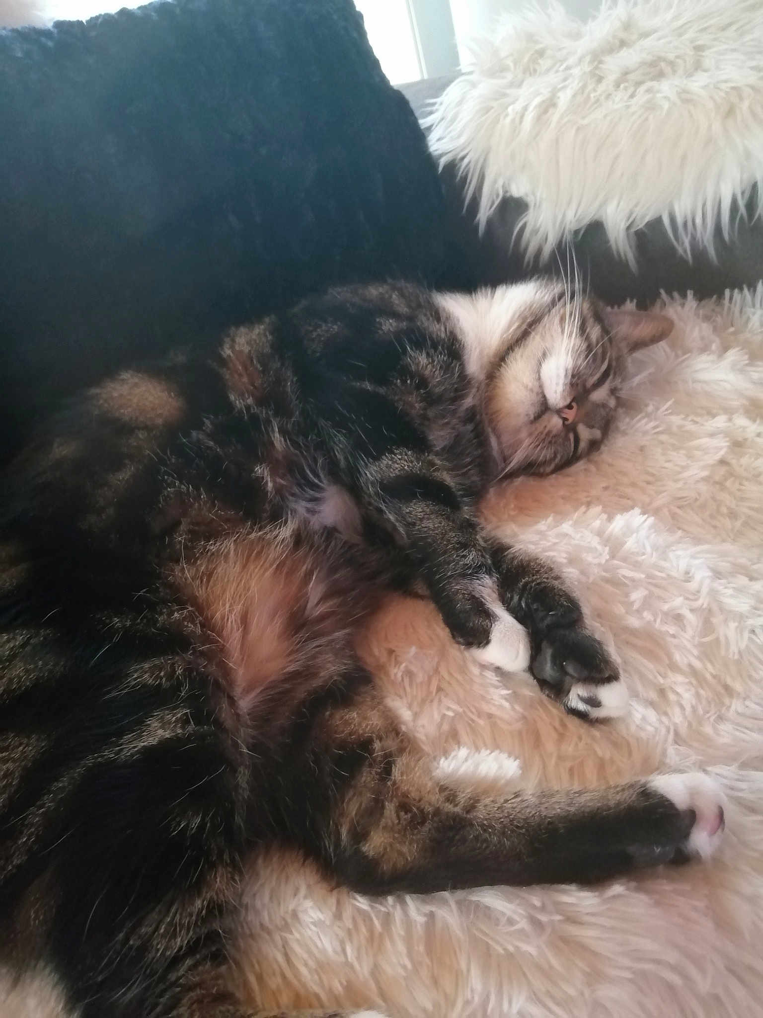 Doudou