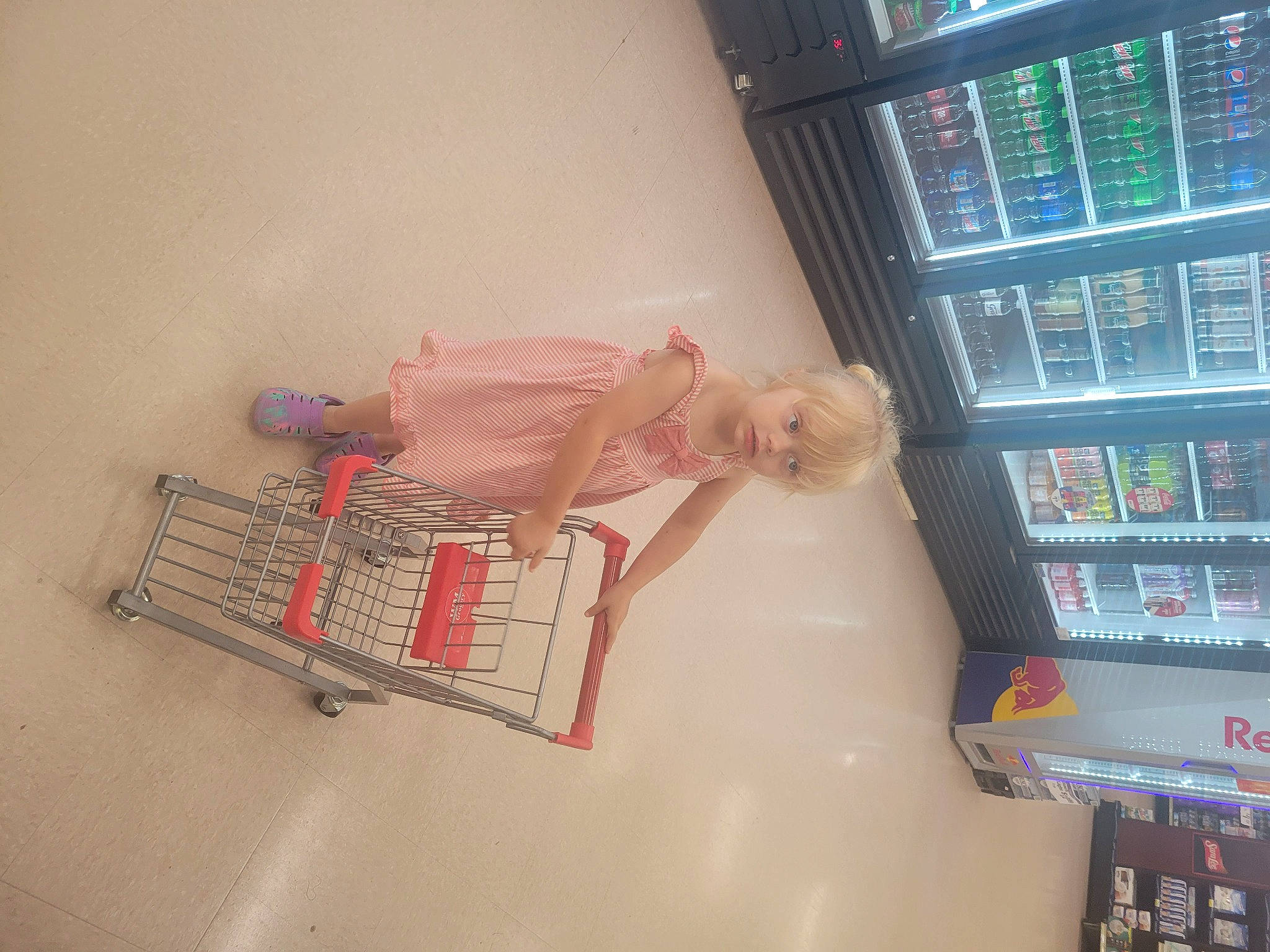 Marlee is registered to the contest to win money with this photo: baby, baby_products, bookcase, child, collection, convenience_store, display_device, home_appliance, laundry_room, machine, major_appliance, person, product, publication, refrigerator, retail, room, shelf, shelving, toddler