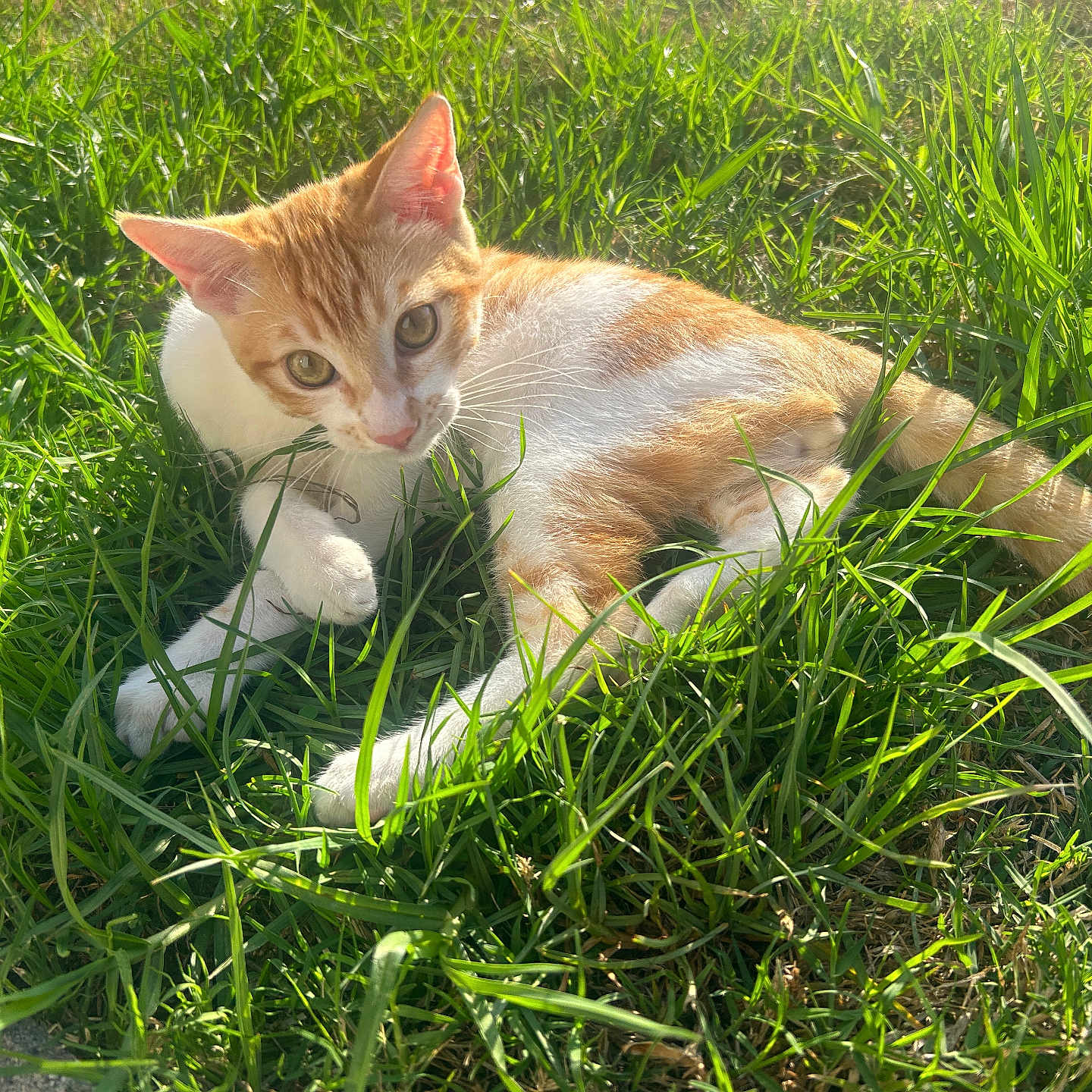 Clem