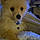 Wilow