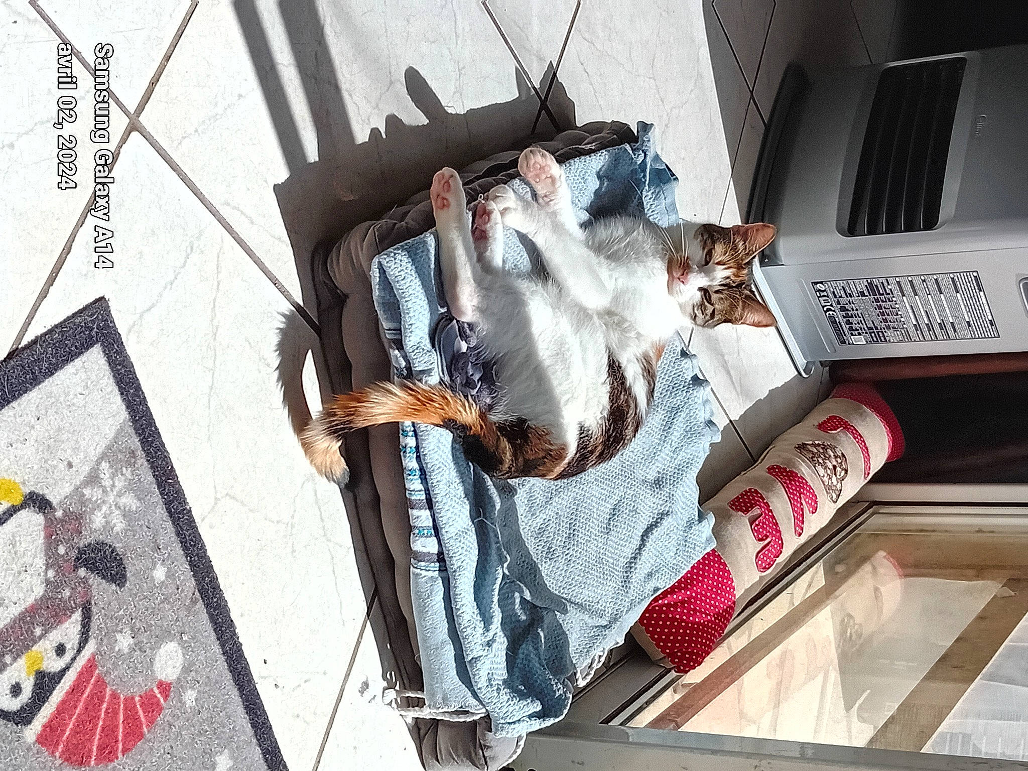 Ruby a rejoint le concours — aidez-le/la à gagner de superbes lots ! advertising, art, facade, font, fur, metal, room, visual_arts