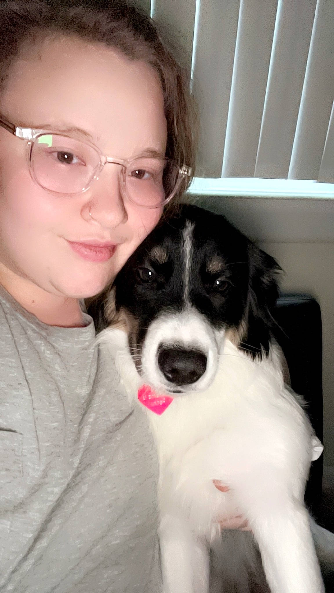Penny is registered to the contest to win money with this photo: ball, border_collie, canidae, carnivore, companion_dog, dog, dog_breed, ear, eye, eyewear, fur, gesture, glasses, happy, nose, smile, snout, vision_care, whiskers, working_animal