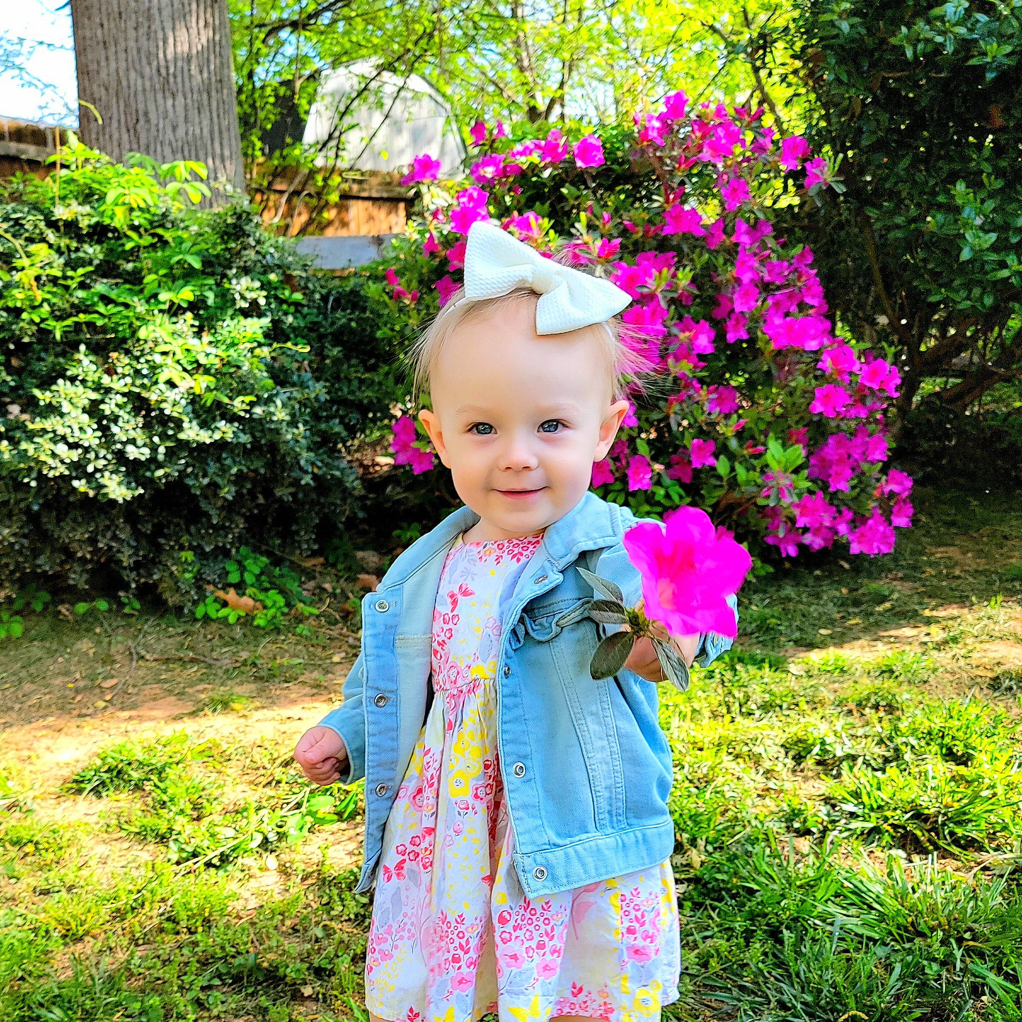 Maggie Jane is registered to the contest to win money with this photo: baby, baby_toddler_clothing, eye, flower, fun, garden, grass, green, happy, joy, magenta, meadow, people_in_nature, person, petal, pink, plant, sleeve, smile, sunlight