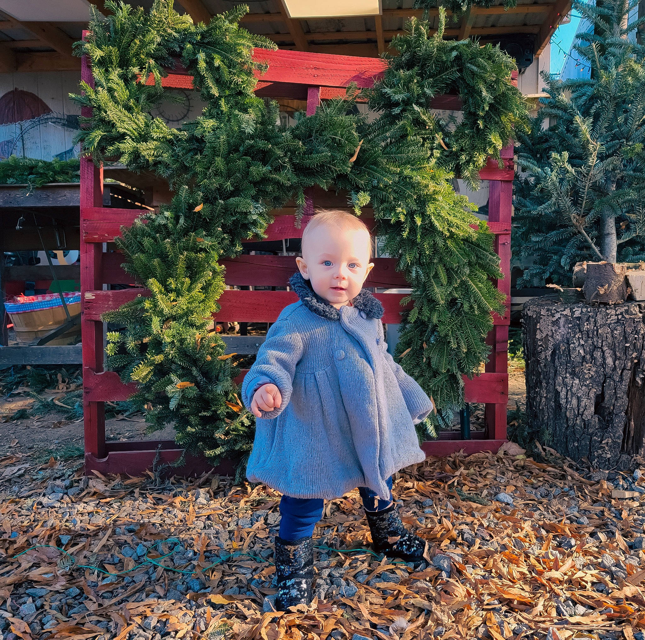 Maggie Jane is registered to the contest to win money with this photo: baby, baby_toddler_clothing, child, city, cobblestone, deciduous, electric_blue, flooring, fun, garden, grass, leisure, people_in_nature, person, plant, play, sitting, tints_and_shades, toddler, tree