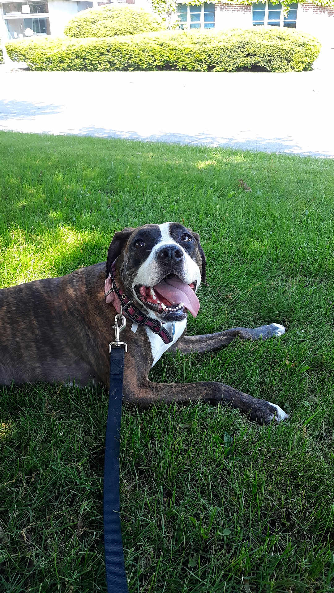 Sadie