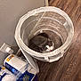 cat, laundry_basket, wooden_floor, paper_towels, wall, electrical_outlet, charger, indoor, pet, curious, white, gray, mesh, container, flooring, household_item, domestic, animal, looking_up, open_mouth