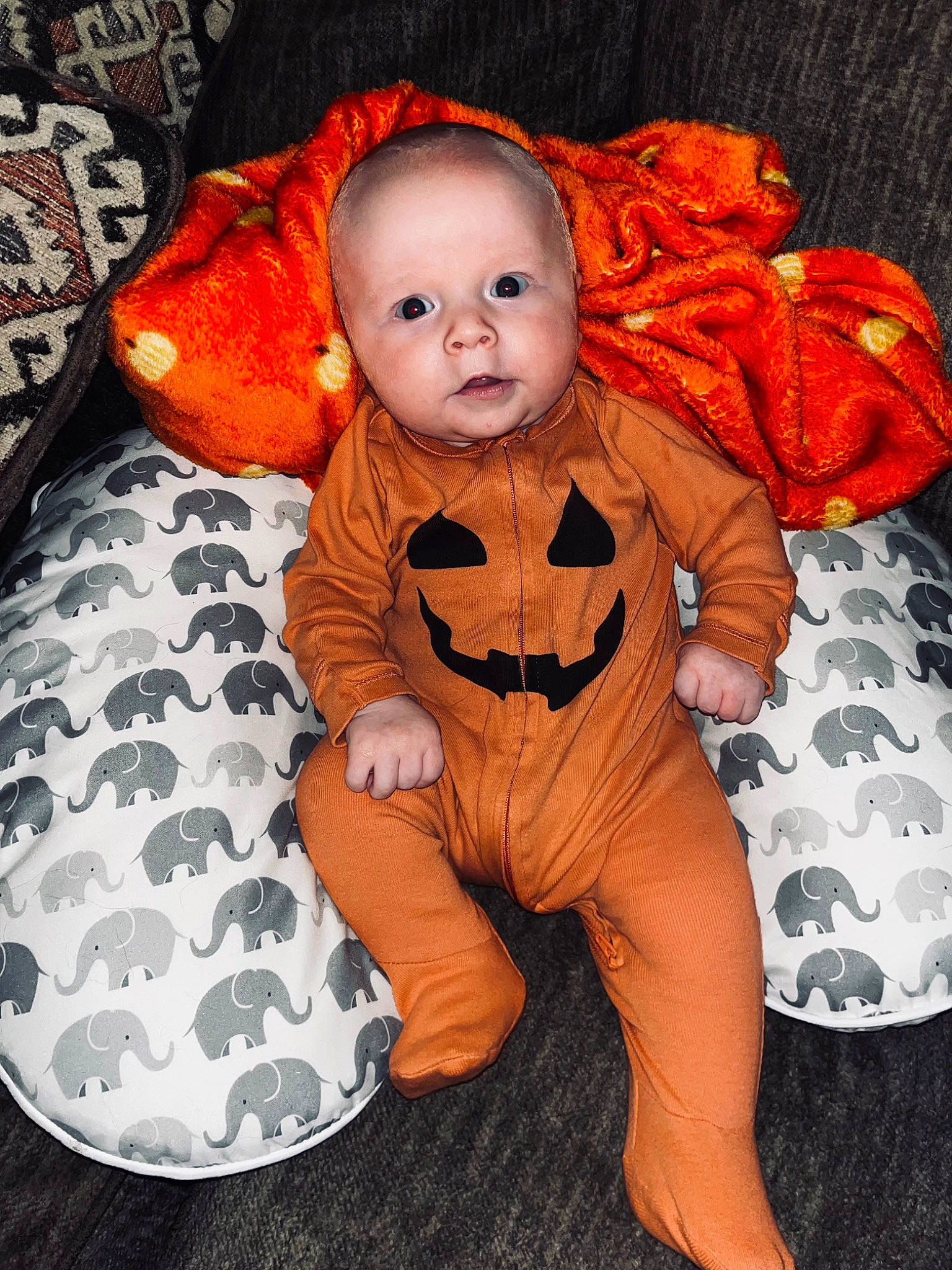 Lincoln joined the competition — help win amazing prizes! baby, baby_toddler_clothing, baby_toys, calabaza, child, comfort, costume, flooring, fur, happy, head, linens, orange, person, plush, pumpkin, sitting, stuffed_toy, toddler, toy
