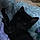 Salem