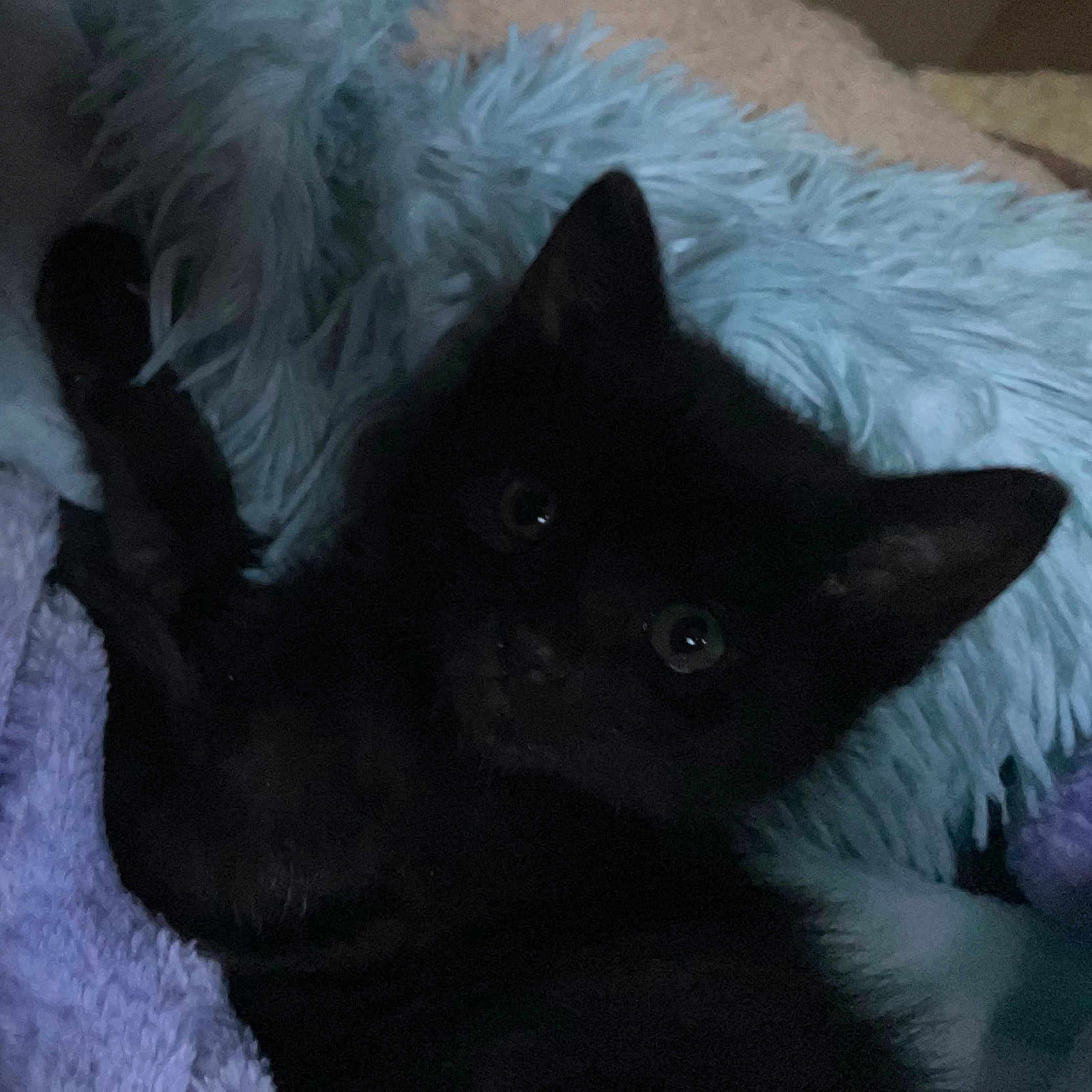 Salem