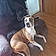 Louna