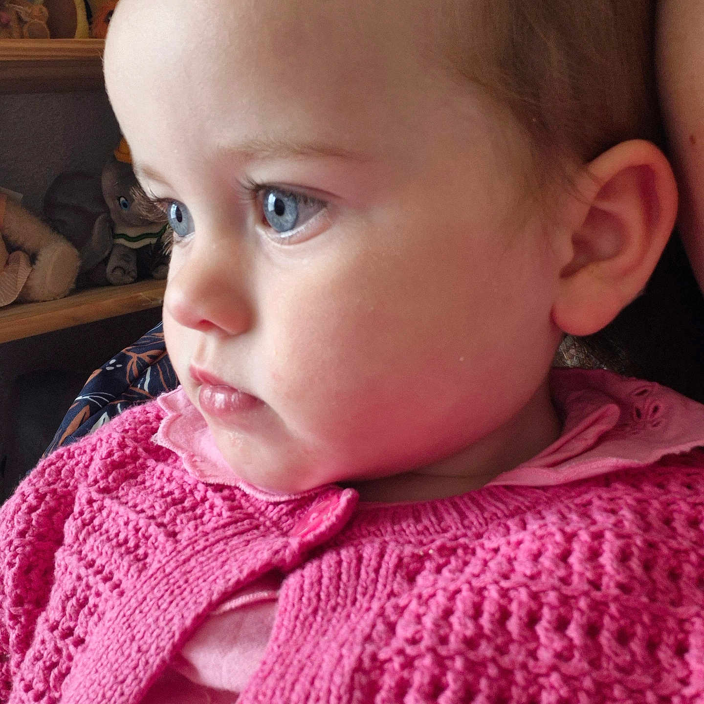 Eliza joined the competition — help win amazing prizes! baby, blue_eyes, child, closeup, cute, face, indoor, knitted_clothing, looking_away, person, pink_sweater, portrait, profile, serious, shelf, soft_lighting, stuffed_animals, toddler, warm_clothing, young_child