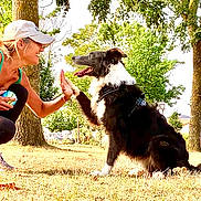 Mars participe au concours pour gagner de l'argent avec cette photo : ball, black_and_white_dog, cap, daytime, dog, grass, happy, high_five, leash, nature, outdoor, park, pet, playful, smile, sneakers, sporty, sunlight, trees, woman