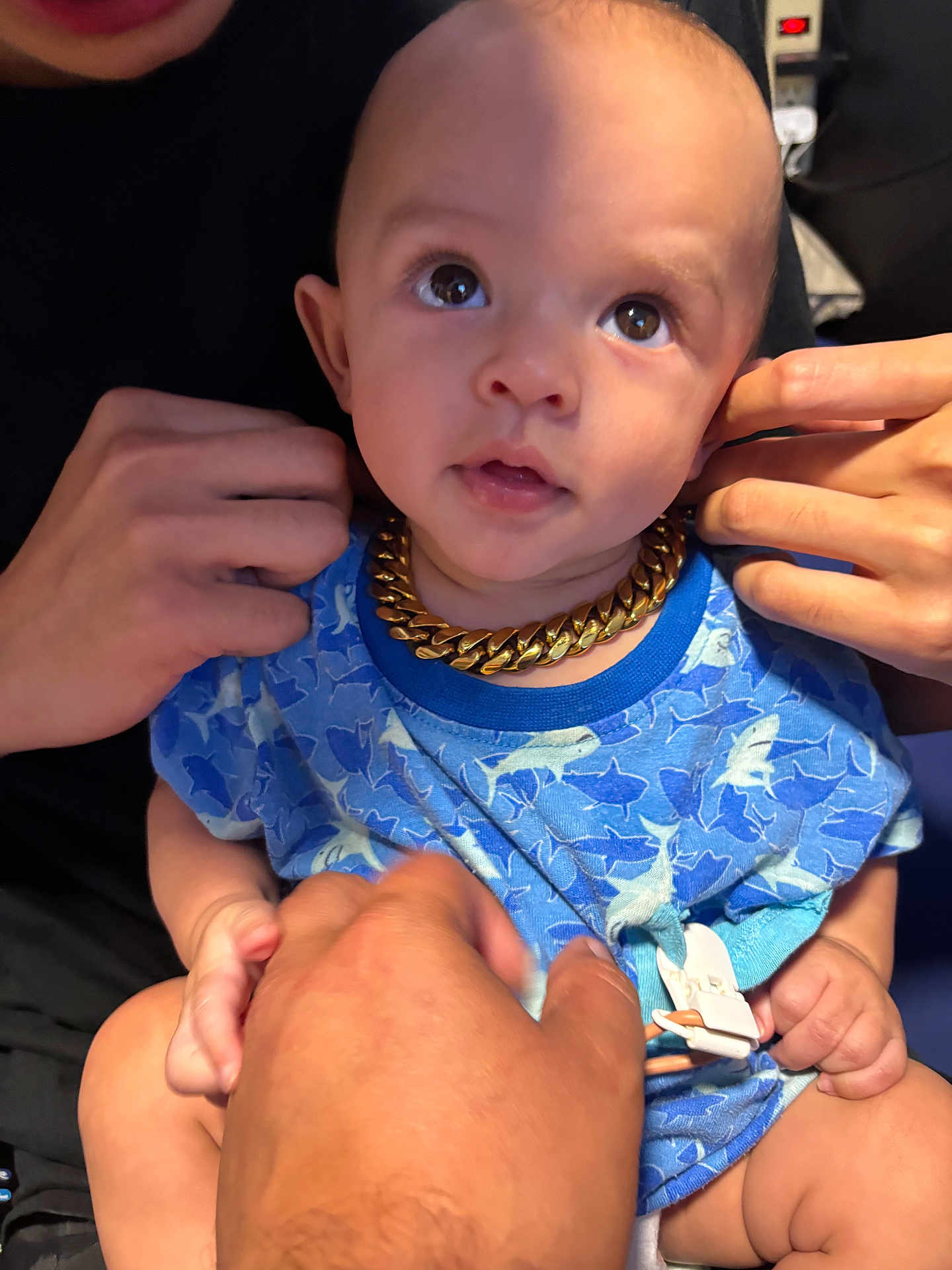 Jasper joined the competition — help win amazing prizes! baby, child, infant, blue_onesie, shark_pattern, gold_chain, hands, holding, curious, wide_eyes, cute, indoor, portrait, closeup, skin, human, person, clothing, expression, adorable