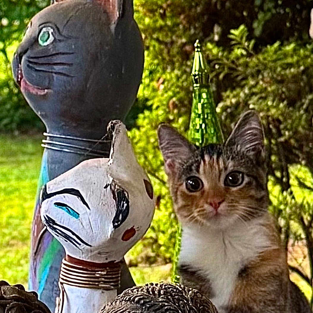 Penny Lane joined the competition — help win amazing prizes! kitten, cat, statue, sculpture, garden, greenery, outdoor, decor, ornate, curious, animal, pet, portrait, nature, background, feline, wooden, colorful, art, whiskers