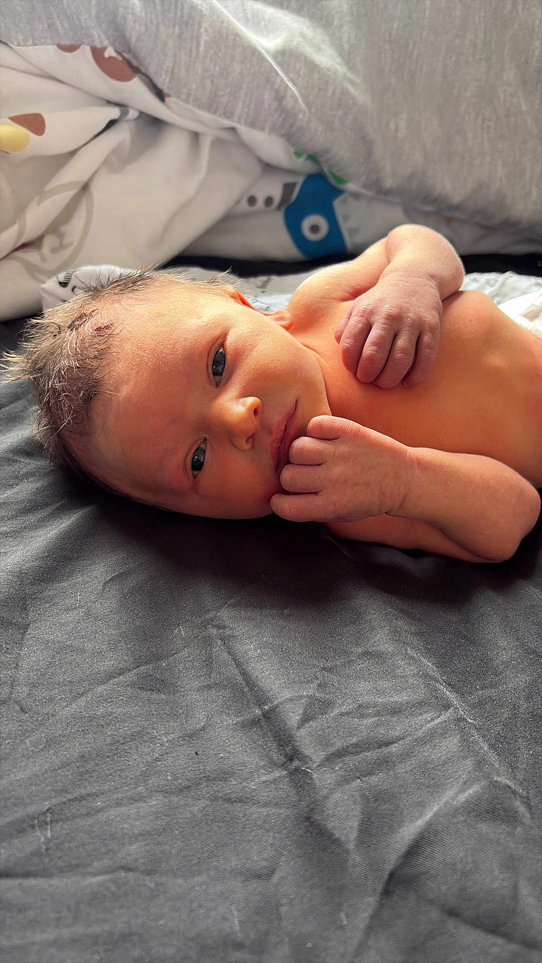 Freddie joined the competition — help win amazing prizes! newborn, baby, infant, face, hands, skin, blanket, fabric, lying_down, curious, soft_light, portrait, closeup, bed, resting, human, child, cute, indoors, newborn_baby