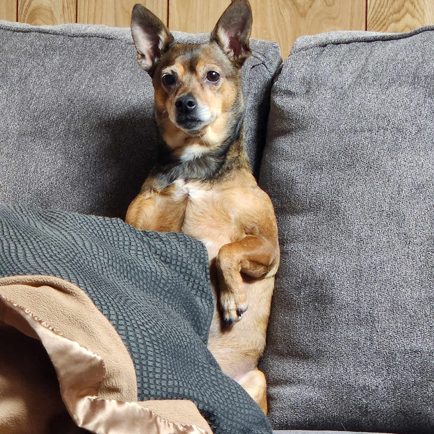 Florence Nightingale