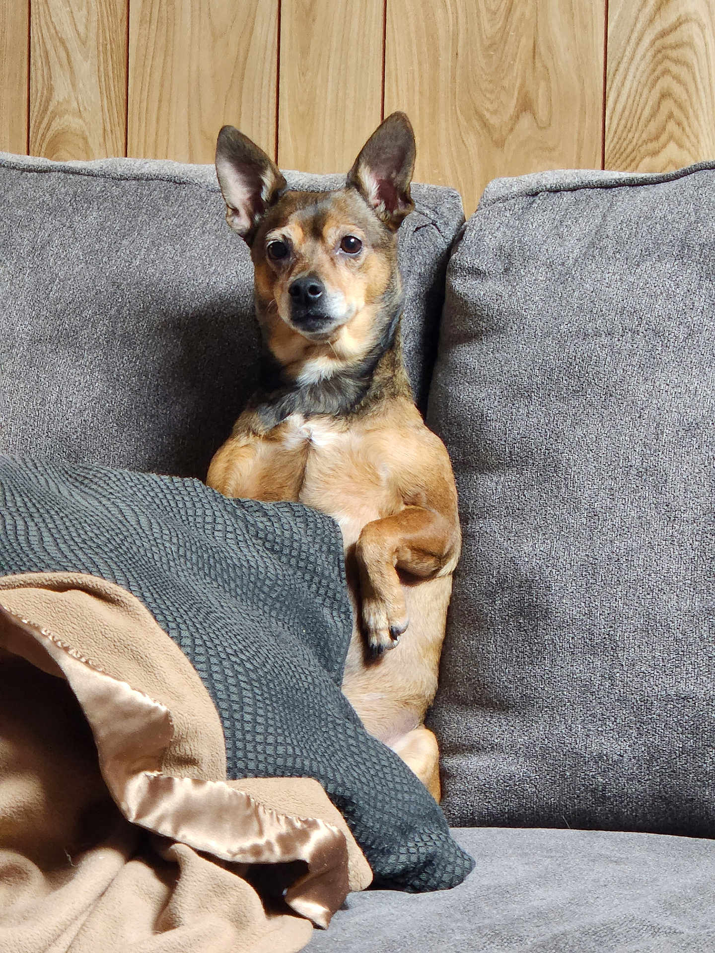 Florence Nightingale