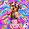 Amber Ferrari joined the competition — help win amazing prizes! dog, puppy, small_dog, portrait, sitting, pink_outfit, heart_pattern, pink_socks, bow, fluffy, long_hair, brown_fur, rainbow, unicorn, dolphin, fantasy_background, colorful, sparkles, castle, tropical