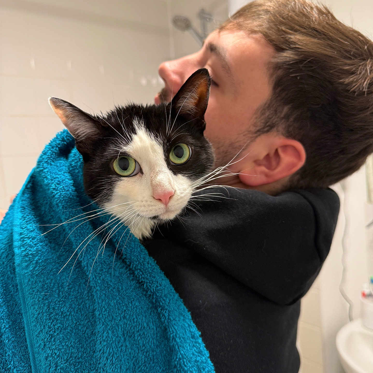 Splidge is registered to the contest to win money with this photo: abyssinian, adult, animal, bathtowel, blanket, bodypart, cat, face, head, indoors, kitten, laundry, male, man, manx, person, pet, photography, portrait, towel