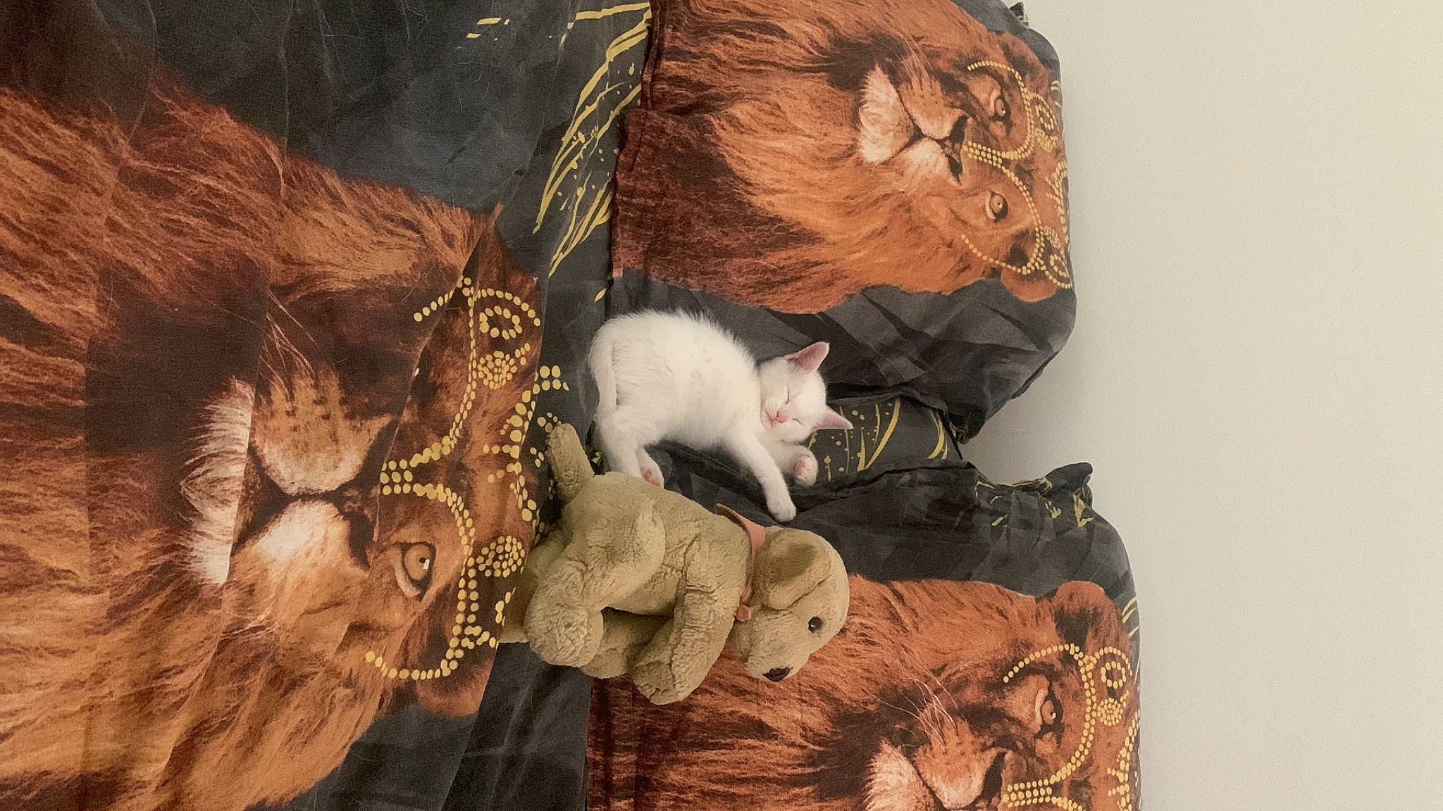 Hélios participe au concours pour gagner de l'argent avec cette photo : art, canidae, carnivore, cat, cg_artwork, collection, comfort, fawn, felidae, fur, hat, linens, painting, pattern, room, small_to_medium_sized_cats, tail, toy, visual_arts, whiskers