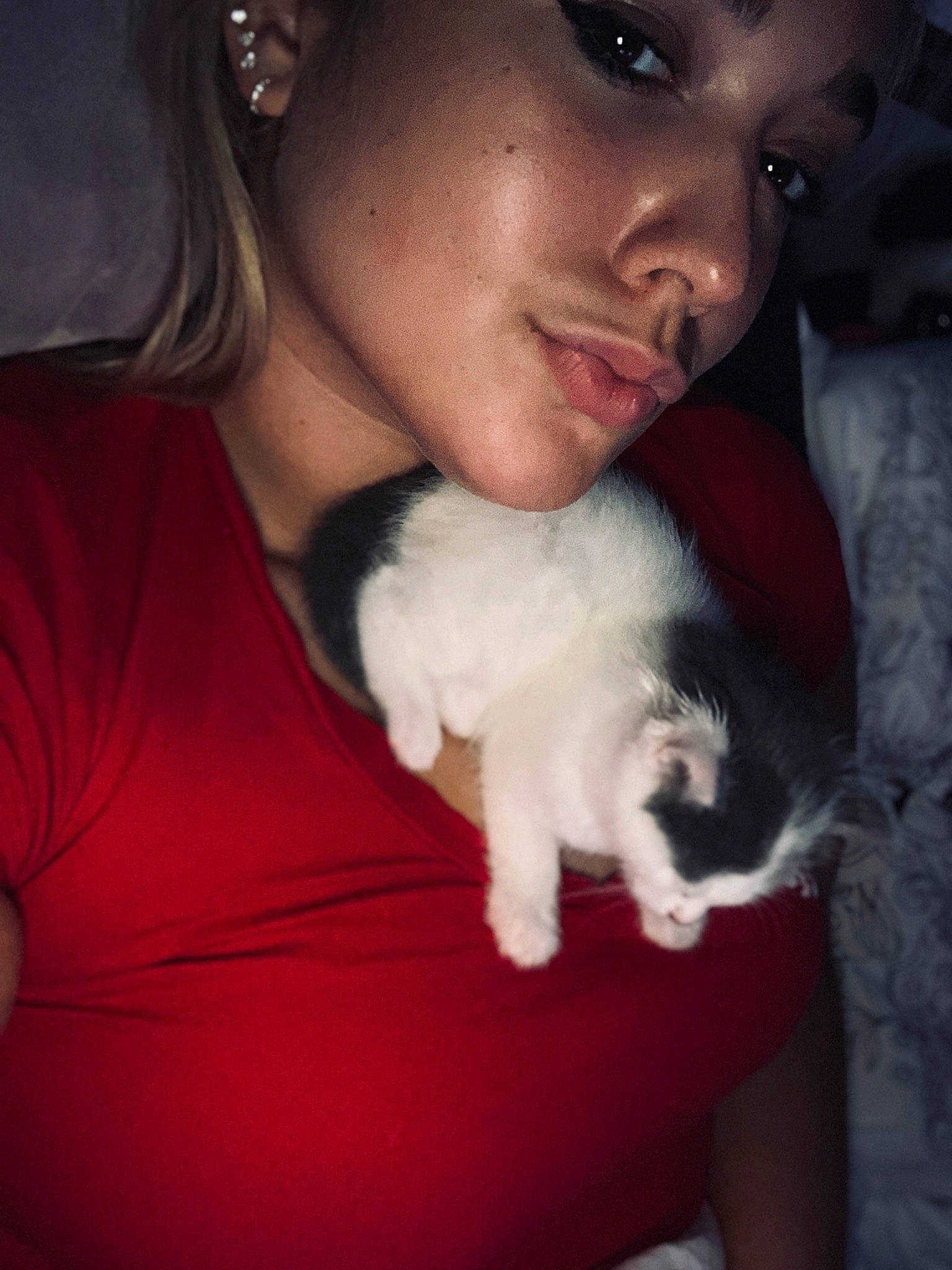 Saphir a rejoint le concours — aidez-le/la à gagner de superbes lots ! black_hair, carnivore, cat, chest, ear, eyebrow, eyelash, felidae, flash_photography, gesture, happy, iris, jaw, lip, mouth, nose, skin, small_to_medium_sized_cats, trunk, whiskers