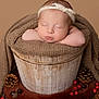 Alba a rejoint le concours — aidez-le/la à gagner de superbes lots ! baby, sleeping, headband, wooden_bucket, blanket, pinecone, acorn, red_berry, brown, cozy, infant, resting, portrait, cute, newborn, soft_texture, nature_elements, warm_tones, studio_photo, decorative