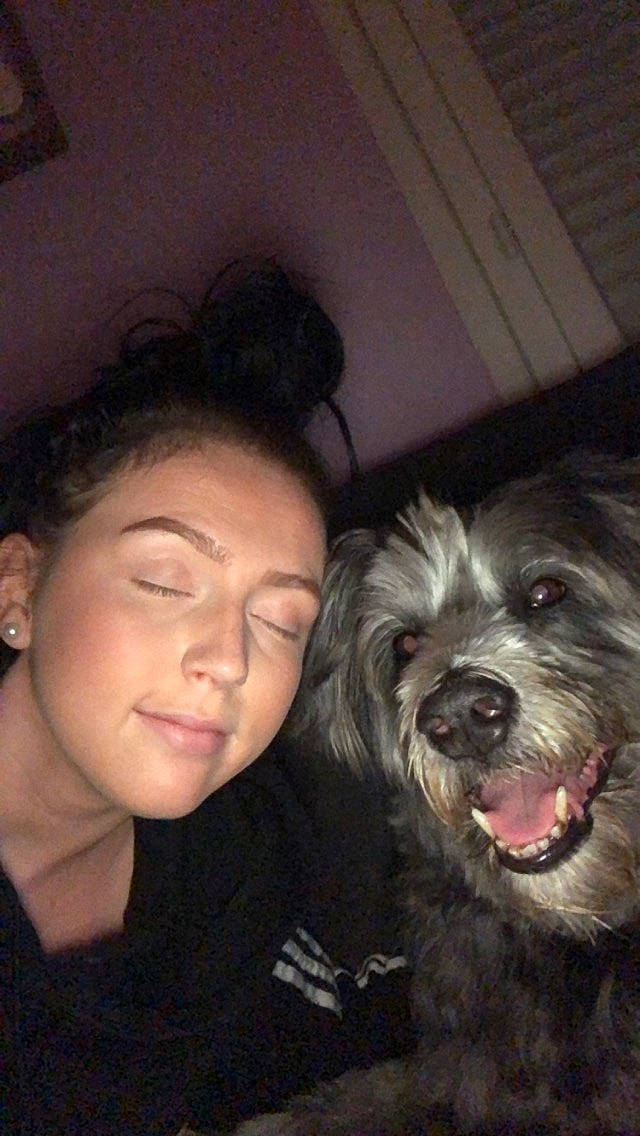 Balto participe au concours pour gagner de l'argent avec cette photo : canidae, carnivore, cockapoo, companion_dog, dog, dog_breed, ear, eyelash, fun, fur, jaw, organ, poodle_crossbreed, puppy_love, small_terrier, smile, sporting_group, terrier, toy_dog, water_dog