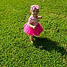 baby, bow, child, dress, fashion, garden, girl, grass, headband, lawn, outdoor, pink, portrait, shadow, smiling, standing, sunlight, toddler, tutu, walking