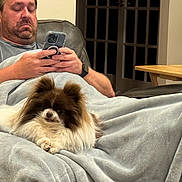 Ginger is registered to the contest to win money with this photo: man, dog, blanket, couch, phone, indoor, relaxed, brown, white, fluffy, furniture, table, watch, casual, sitting, technology, comfort, pet, home, leather